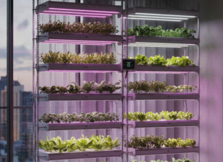 Vertical Farm ในคอนโดเลือกไฟปลูกพืชอย่างไรให้เหมาะสมและเห็นผลชัดเจน การทำ Vertical Farm ในคอนโดใช้แสงไฟแบบไหนจึงจะเหมาะสม